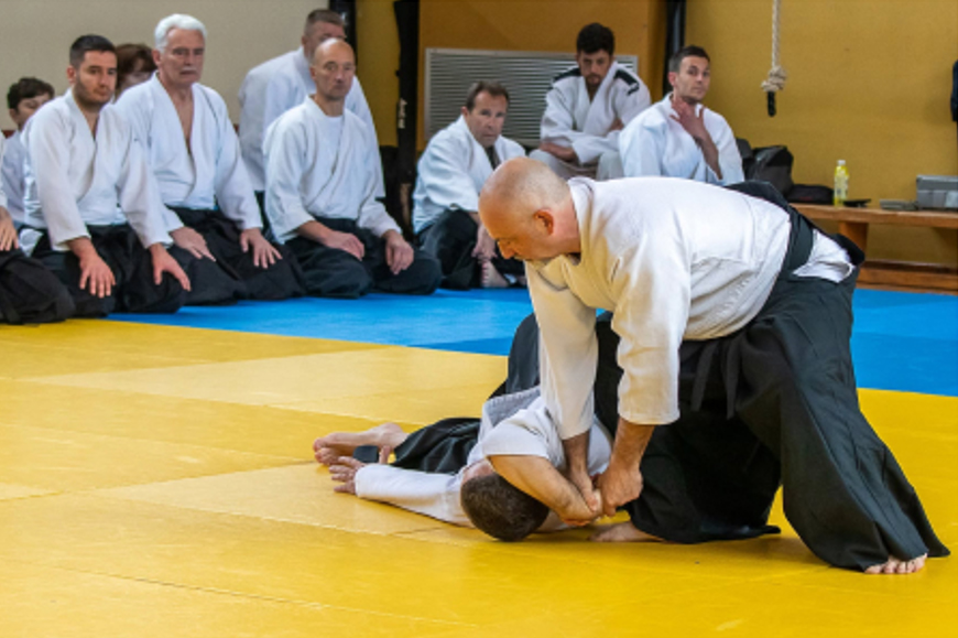 Seminari i gostovanja